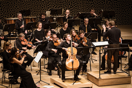 Preisträger-Gala mit der Kammerakademie Potsdam in der Elbphilharmonie: Friedrich Thiele (Violoncello, 2017) © Kulturkreis / Peter Hundert Preisträger-Gala mit der Kammerakademie Potsdam in der Elbphilharmonie: Friedrich Thiele (Violoncello, 2017) © Kulturkreis / Peter Hundert