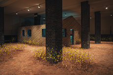 Helena Uambembe: Blooming in Statis: 25.8230° S, 23.5312° E, Credit: Wolfgang Stahr