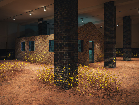 Helena Uambembe: Blooming in Statis: 25.8230° S, 23.5312° E, Credit: Wolfgang Stahr