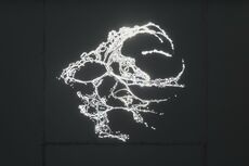 Yoora Park, Challenge for an Underachiever © Oskar Lee